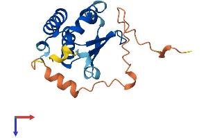 AlphaFold protein structure predicition of Mouse Recombinant Khdc1a Protein, UniprotID Q3UWR2