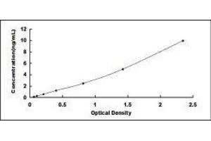 Typical standard curve (Cytokeratin 7 ELISA Kit)