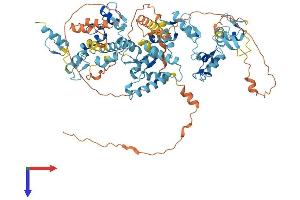 ZNF483 Protein (AA 1-744) (His tag)