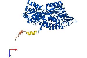 ALDH1A2 Protein (AA 1-518) (His tag)
