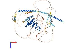 PPP1R12B Protein (AA 1-976) (His tag)