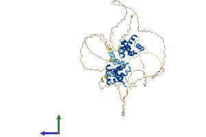 AlphaFold protein structure predicition of Mouse Recombinant Nab2 Protein, UniprotID Q61127