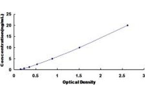 Typical standard curve (EOMES ELISA Kit)