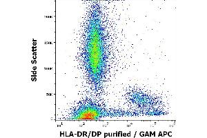 Flow cytometry surface staining pattern of human peripheral whole blood stained using anti-human HLA-DR/DP (MEM-136) purified antibody (concentration in sample 4 μg/mL) GAM APC. (HLA-DP/DR Antikörper)