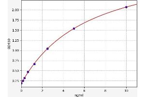 Typical standard curve (FADS2 ELISA Kit)