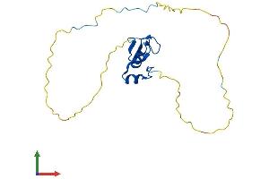 Protein Structure (PS) image for Ring Finger Protein 4 (RNF4) (AA 1-190) protein (His tag) (ABIN7555270)