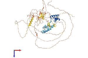 POU6F2 Protein (AA 1-691) (His tag)