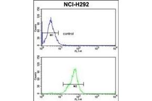 TOB1 Antibody (N-term) (ABIN652511 and ABIN2842342) flow cytometric analysis of NCI- cells (bottom histogram) compared to a negative control cell (top histogram). (Protein Tob1 (TOB1) (AA 54-83), (N-Term) Antikörper)