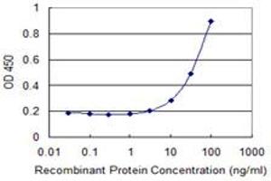 Detection limit for recombinant GST tagged HOXB9 is 1 ng/ml as a capture antibody. (HOXB9 Antikörper  (AA 65-163))