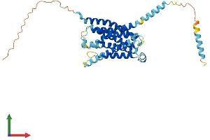 Protein Structure (PS) image for G Protein-Coupled Receptor MRGX2 (MRGPRX2) (AA 1-352) protein (His tag) (ABIN7557183)