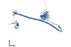 Protein Structure (PS) image for Tripartite Motif Containing 58 (TRIM58) (AA 1-486) protein (His tag) (ABIN7544720)