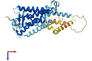 PTGDR Protein (AA 1-359) (His tag)