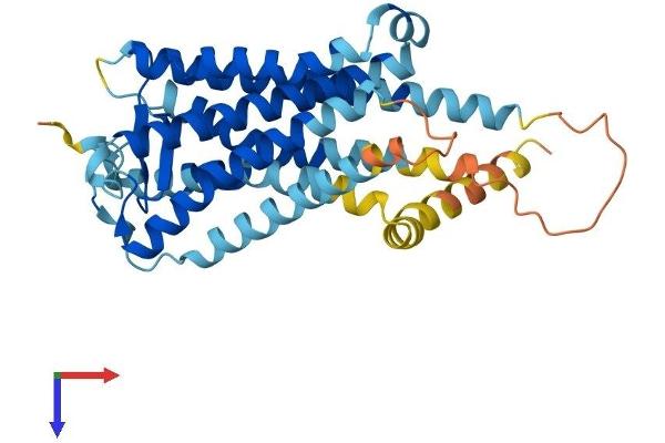 PTGDR Protein (AA 1-359) (His tag)