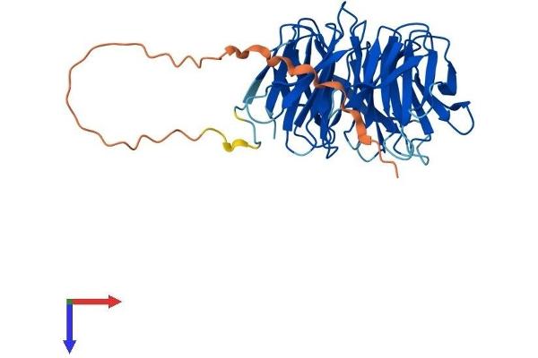 SNRNP40 Protein (AA 1-357) (His tag)