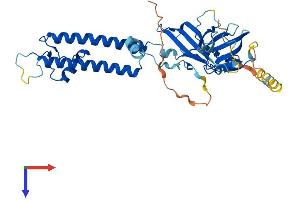 KCNJ10 Protein (AA 1-379) (His tag)