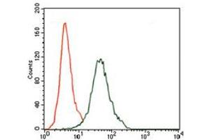 Image no. 1 for anti-CD5 (CD5) antibody (ABIN1491301) (CD5 Antikörper)