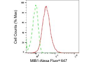 Flow cytometric analysis of MIB1 expression in HepG2 cells using MIB1 antibody (ABIN7799413), 1:2,000). (Rekombinanter MIB1 Antikörper)