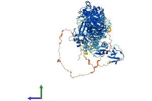 Protein Structure (PS) image for Myosin IF (MYO1F) (AA 1-1098) protein (His tag) (ABIN7554638)