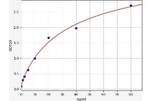 Secretogranin II (SCG2) ELISA Kit