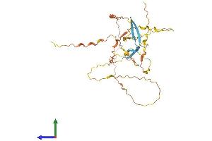 Protein Structure (PS) image for Keratin Associated Protein 29-1 (KRTAP29-1) (AA 1-342) protein (His tag) (ABIN7561865)