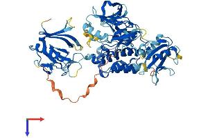 NR4A3 Protein (AA 1-631) (His tag)