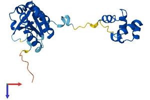 FAAP24 Protein (AA 1-221) (His tag)