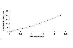 Typical standard curve (EIF3G ELISA Kit)