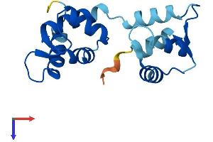 CALML4 Protein (AA 1-153) (His tag)
