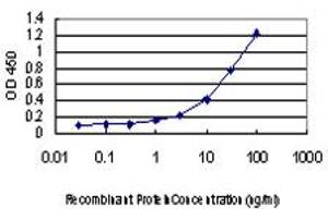 Detection limit for recombinant GST tagged COG6 is approximately 1ng/ml as a capture antibody.