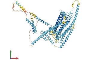 Protein Structure (PS) image for Transmembrane Channel-Like 1 (TMC1) (AA 1-757) protein (His tag) (ABIN7559765)