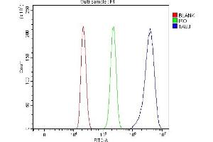 Flow Cytometry analysis of HL-60 cells using anti-TAB3 antibody (ABIN7602353). (TAB3 Antikörper  (AA 70-656))