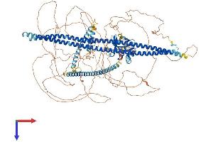 AlphaFold protein structure predicition of Mouse Recombinant Phldb2 Protein, UniprotID Q8K1N2
