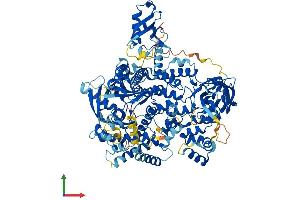 Protein Structure (PS) image for Phosphoinositide-3-Kinase, Catalytic, delta Polypeptide (PIK3CD) (AA 1-1044) protein (His tag) (ABIN7555004)
