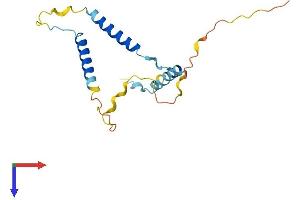 GPSM3 Protein (AA 1-160) (His tag)