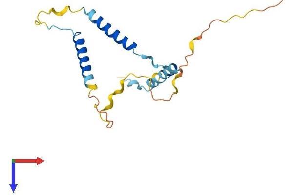 GPSM3 Protein (AA 1-160) (His tag)