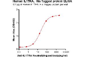 Interleukin 17 Receptor A (IL17RA) (AA 33-320) protein (His tag)