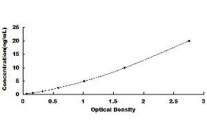 Typical standard curve (GSDMD ELISA Kit)
