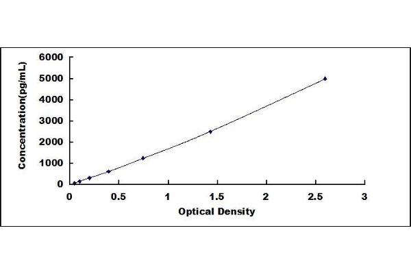 AGXT2 ELISA Kit