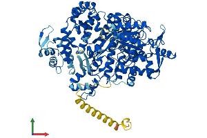 Protein Structure (PS) image for Ribonucleotide Reductase M1 (RRM1) (AA 1-792) protein (His tag) (ABIN7562754)