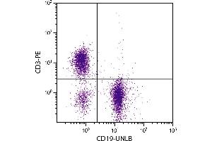 BALB/c mouse splenocytes were stained with Rat Anti-Mouse CD19-UNLB. (CD19 Antikörper)