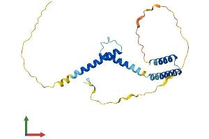 Protein Structure (PS) image for Hairy and Enhancer of Split 4 (HES4) (AA 1-221) protein (His tag) (ABIN7548293)