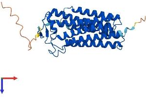 PAQR3 Protein (AA 1-311) (His tag)