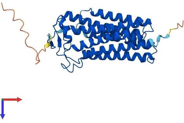 PAQR3 Protein (AA 1-311) (His tag)