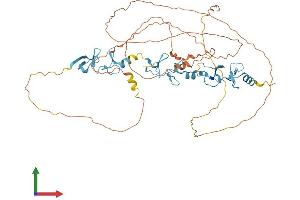 Protein Structure (PS) image for Ajuba LIM Protein (AJUBA) (AA 1-538) protein (His tag) (ABIN7552078)