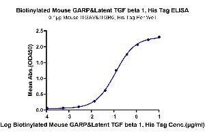 Immobilized Mouse ITGAV&ITGB6, His Tag at 1 μg/mL (100 μL/well) on the plate.