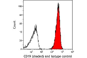 Flow Cytometry (FACS) image for anti-CD19 Molecule (CD19) antibody (ABIN7795604)