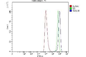 Flow Cytometry analysis of HEL cells using anti-HMGCR antibody (ABIN7600989). (HMGCR Antikörper  (AA 268-842))