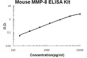 Mouse MMP-8 PicoKine ELISA Kit standard curve (MMP8 ELISA Kit)