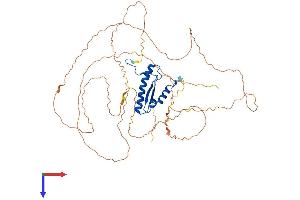 SRF Protein (AA 1-504) (His tag)