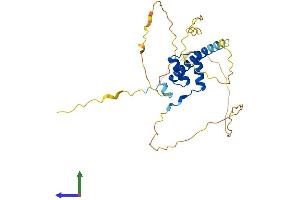 AlphaFold protein structure predicition of Human Recombinant HMX2 Protein, UniprotID A2RU54 (HMX2 Protein (AA 1-273) (His tag))